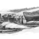 Illustration for article titled The Coolest Airship Pictures Youve Ever Seen